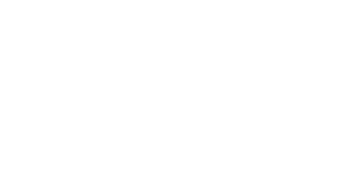 HSMW Logo weiß